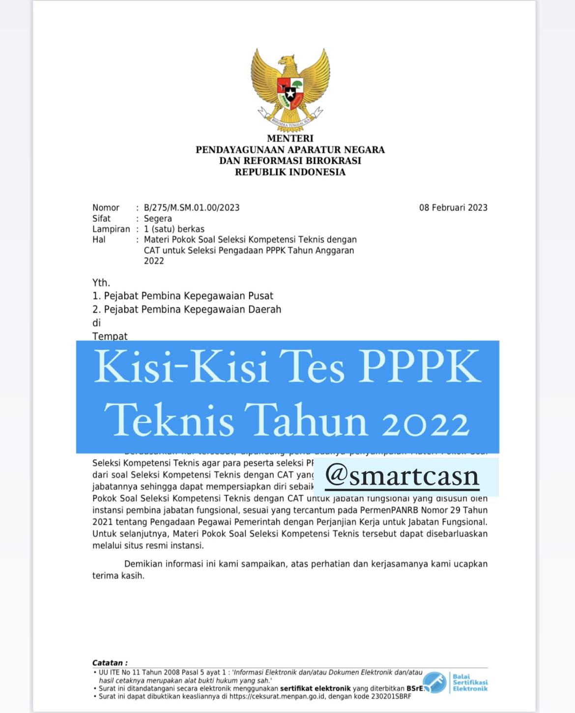 Kisi-Kisi Resmi PPPK Teknis 2022