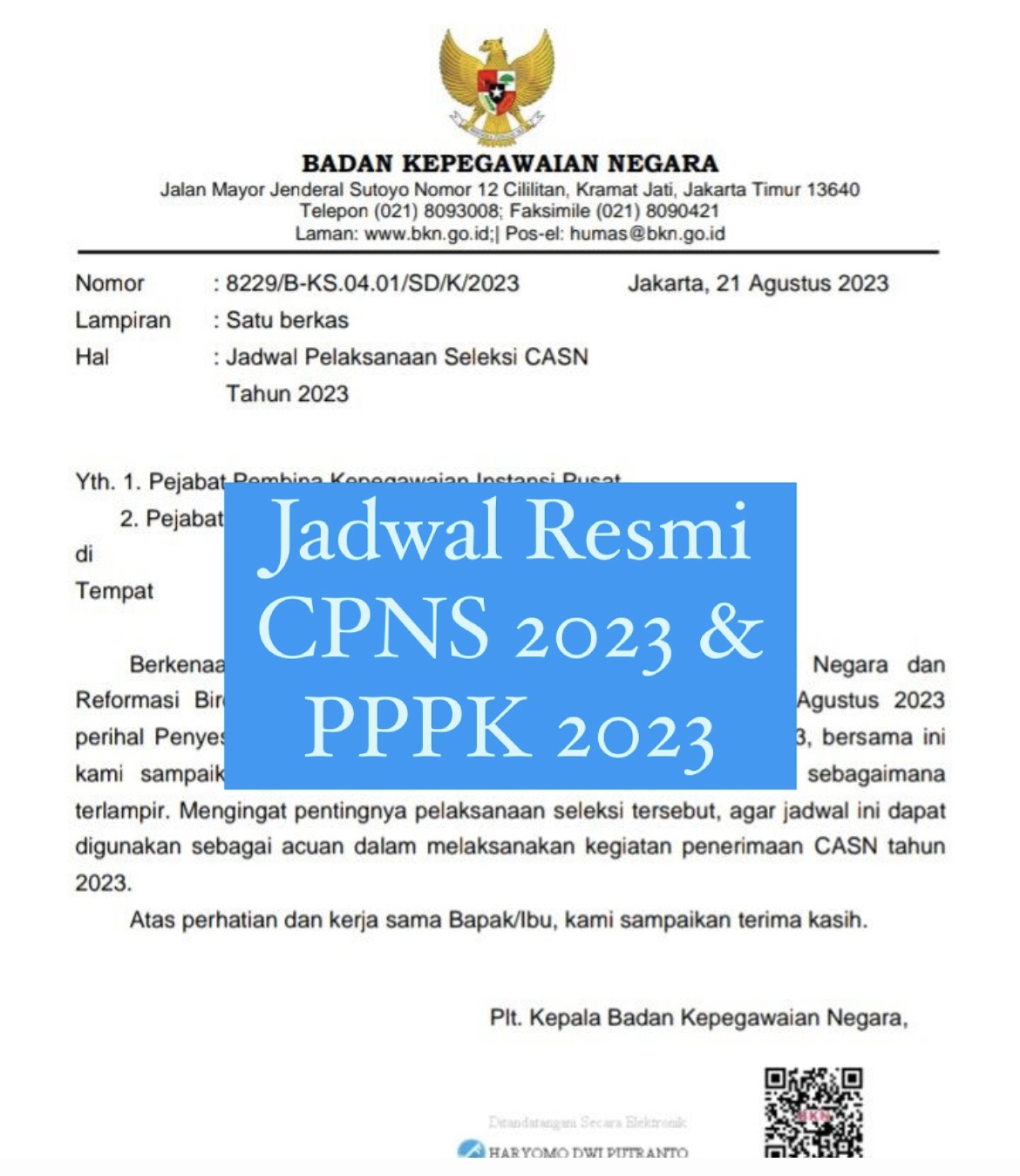 Jadwal Resmi CPNS 2023 & PPPK 2023 oleh BKN