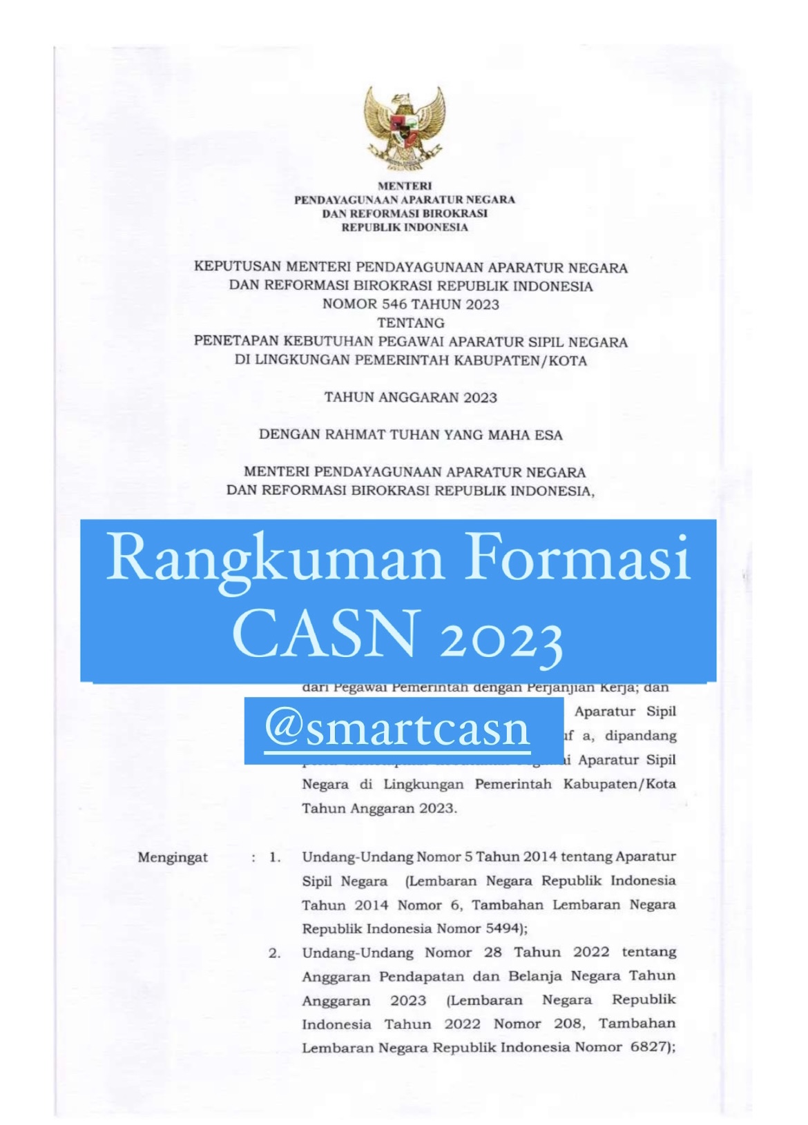 Kumpulan Formasi CASN 2023 (CPNS 2023 & PPPK 2023)